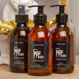 MoJo Hand wash - Ginger & Lime 200ml