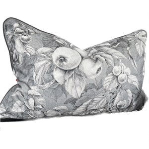 MoJo Eggshell - Cover