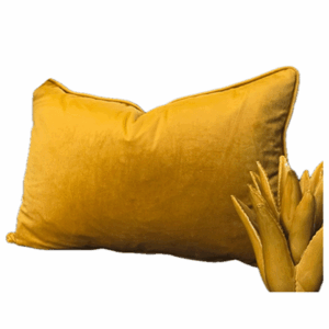 MoJo Mellow Yellow - Cover