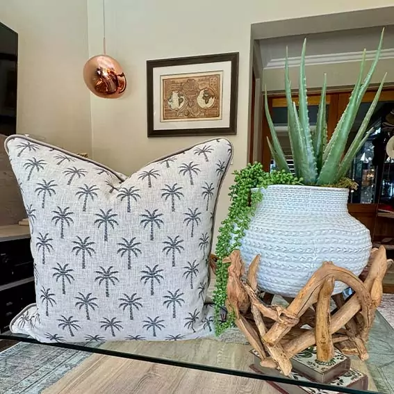 MoJo Palm Beach - Cover - Image 2